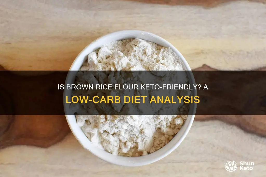 is brown rice flour ok on a keto diet