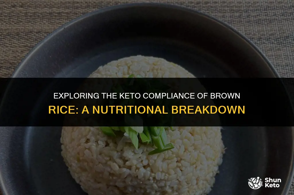is brown rice keto compliant