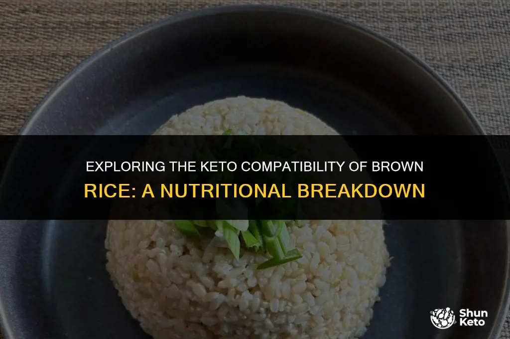 is brown rice keto diet friendly