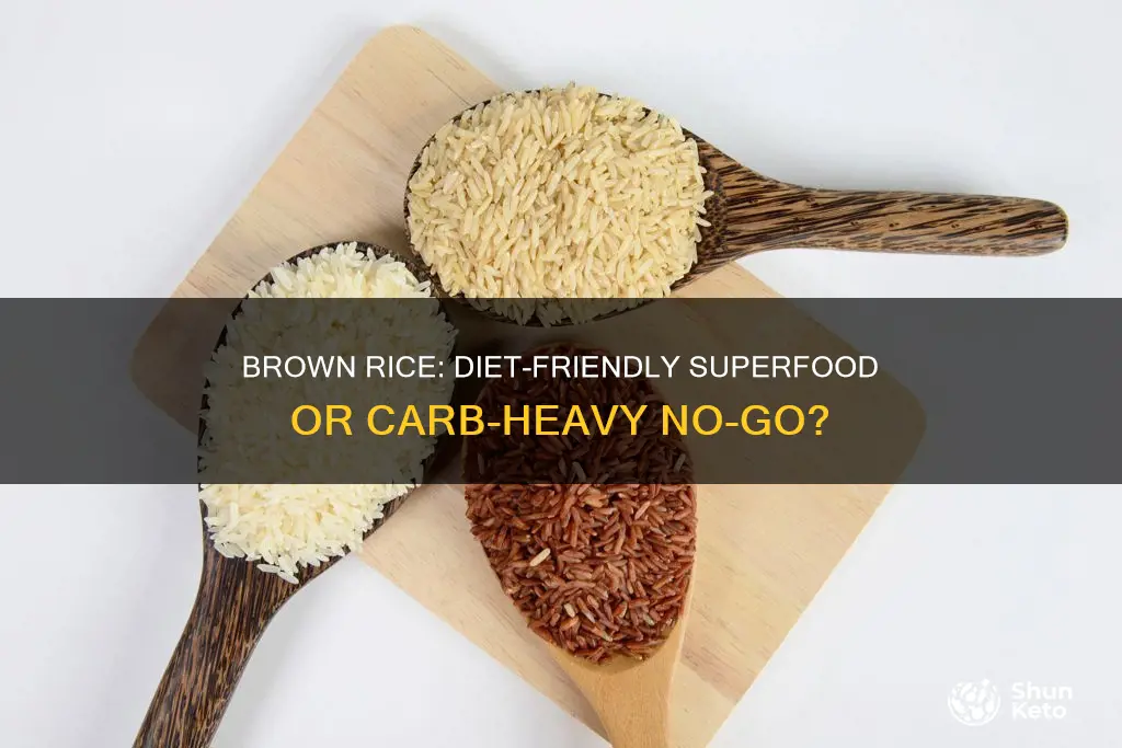 is brown rice ok for a diet