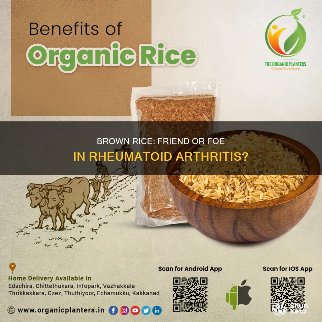 is brown rice ok for ra diet