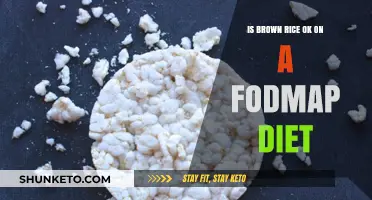 Brown Rice: Friend or Foe on Low-FODMAP Diet?