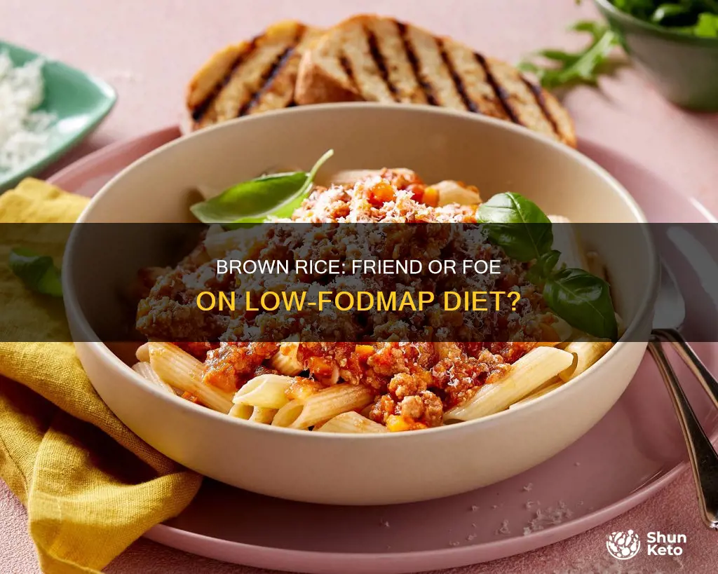 is brown rice ok on a fodmap diet
