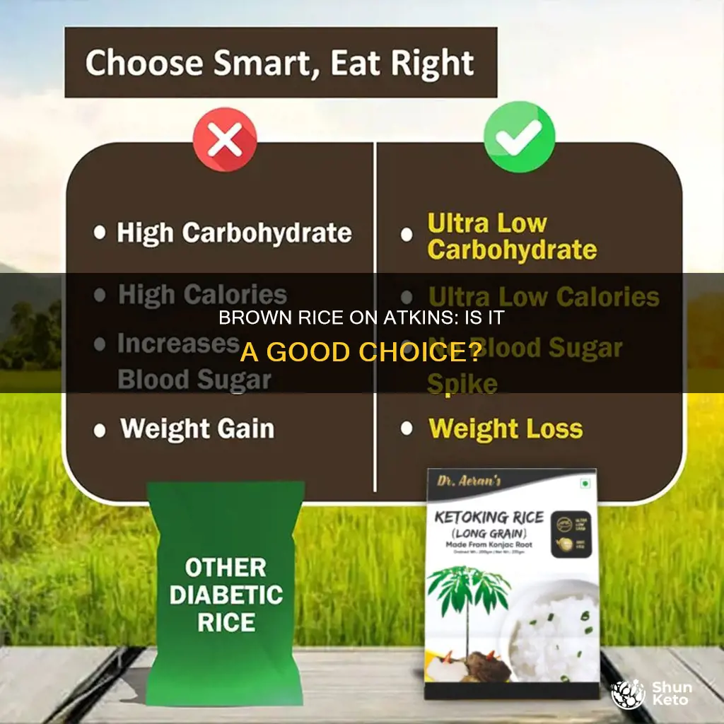 is brown rice ok on atkins diet