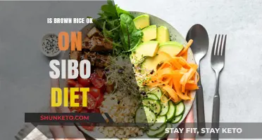 Brown Rice on SIBO Diet: Friend or Foe?