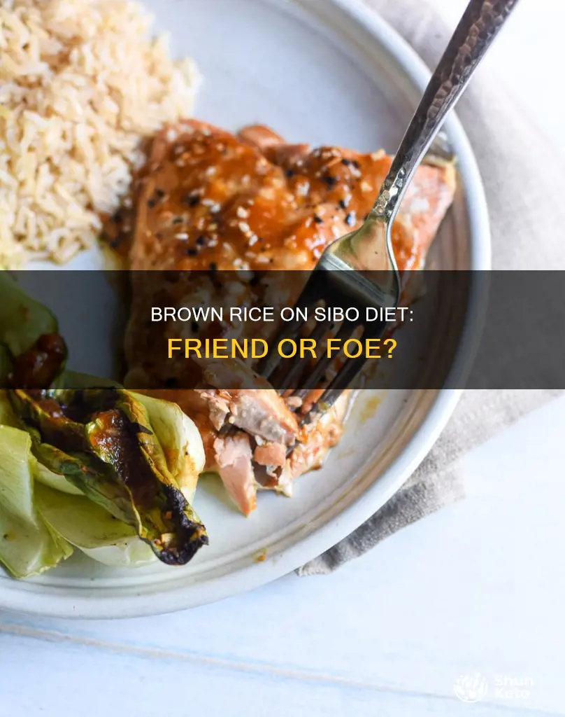 is brown rice ok on sibo diet