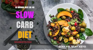 Brown Rice: Slow Carb Diet Friend or Foe?