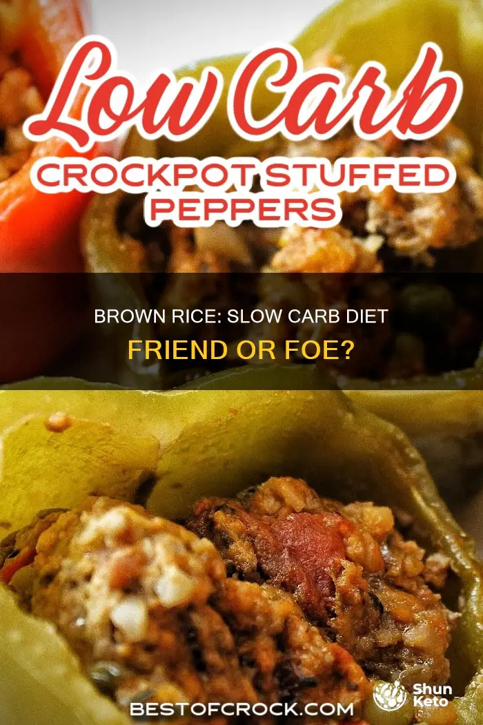 is brown rice ok on slow carb diet