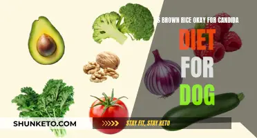 Brown Rice Benefits for Dogs on Candida Diet