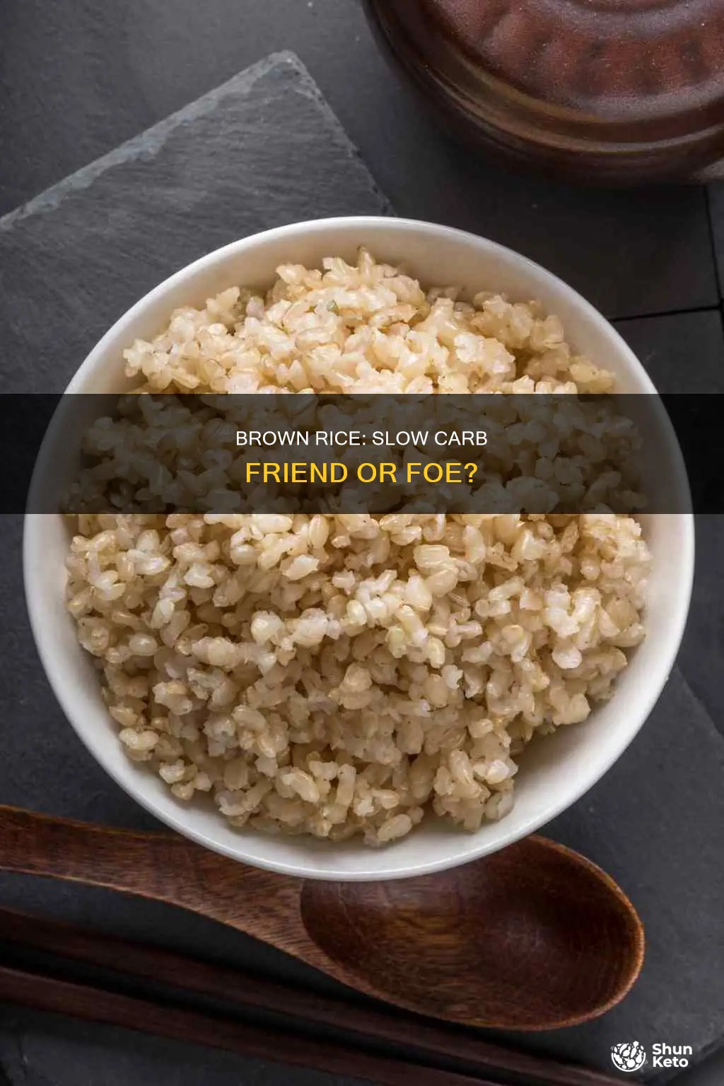 is brown rice okay in slow carb diet