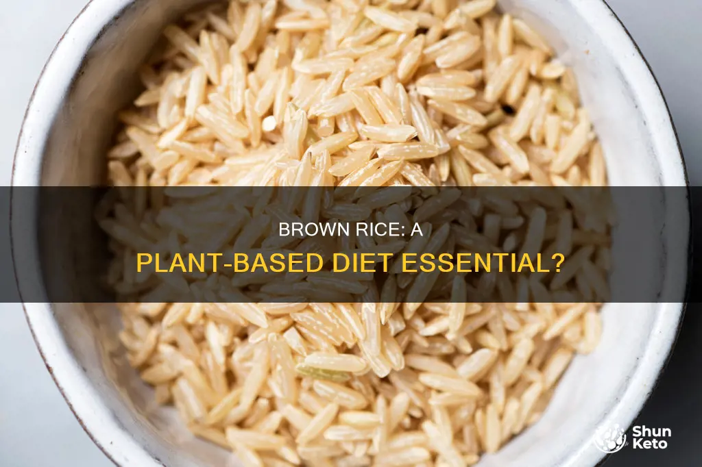 is brown rice part of a plant based diet