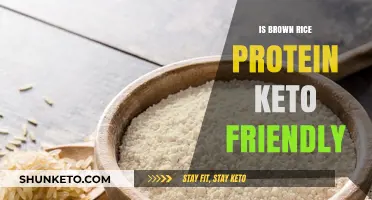 Exploring the Keto-Friendliness of Brown Rice Protein: A Nutritional Breakdown