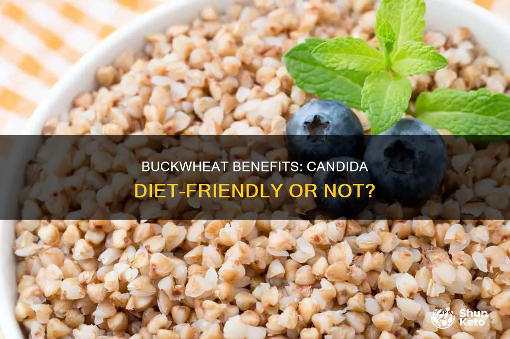 is buckwheat ok for candida diet