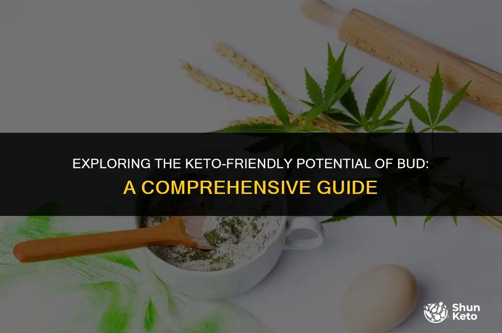 is bud next keto friendly
