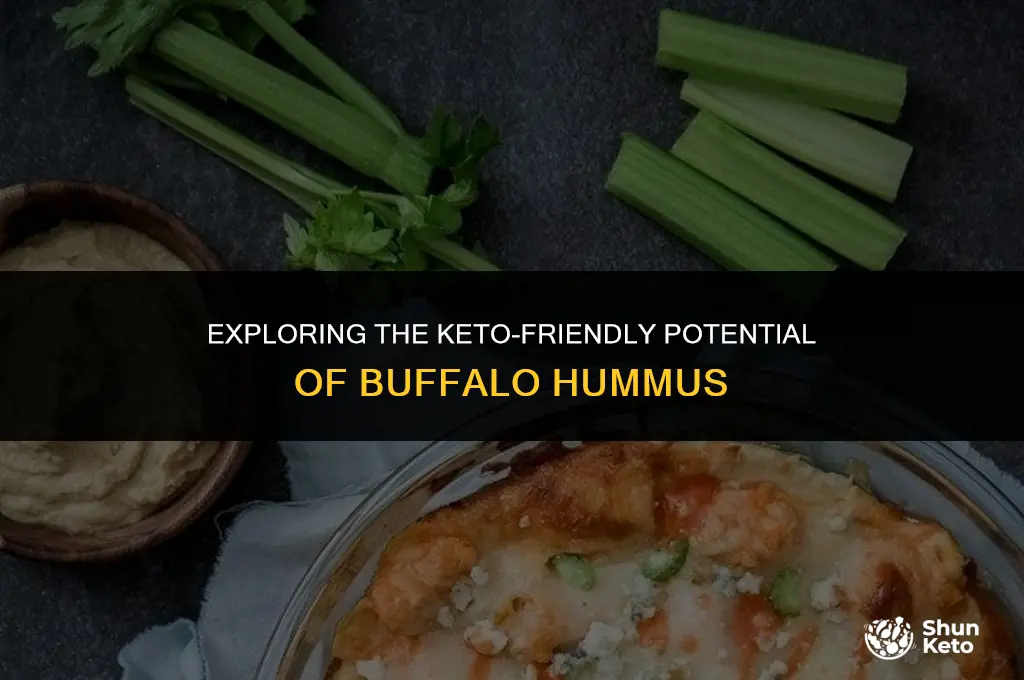is buffalo hummus keto