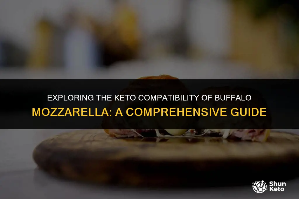 is buffalo mozzarella keto friendly