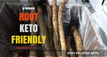 Exploring Burdock Root: A Keto-Friendly Addition to Your Diet?