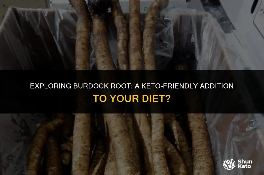 is burdock root keto friendly