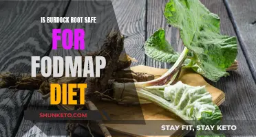 Burdock Root and FODMAP Diet: Safe or Not?