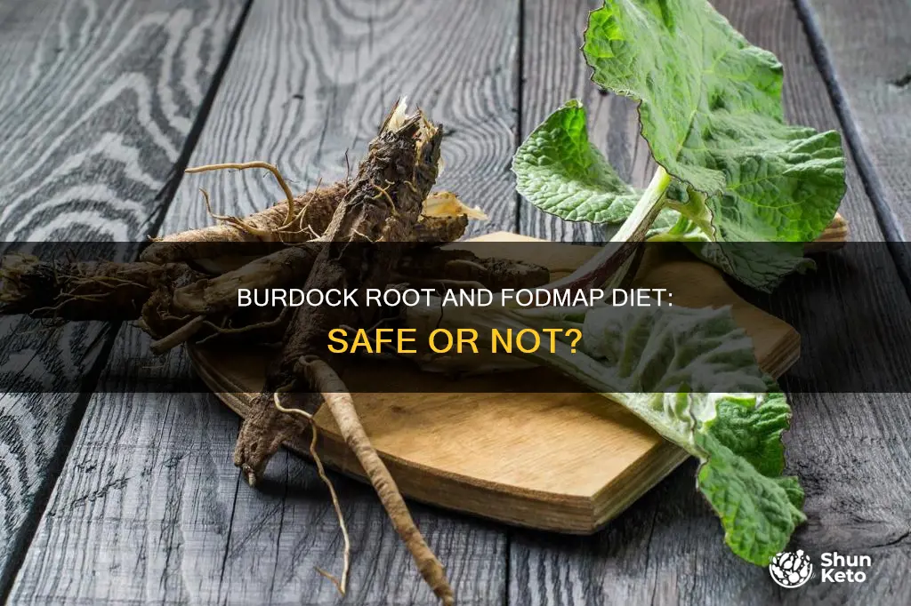 is burdock root safe for fodmap diet