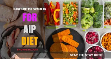 Butterfly Pea Flowers: AIP Diet-Friendly Superfood?