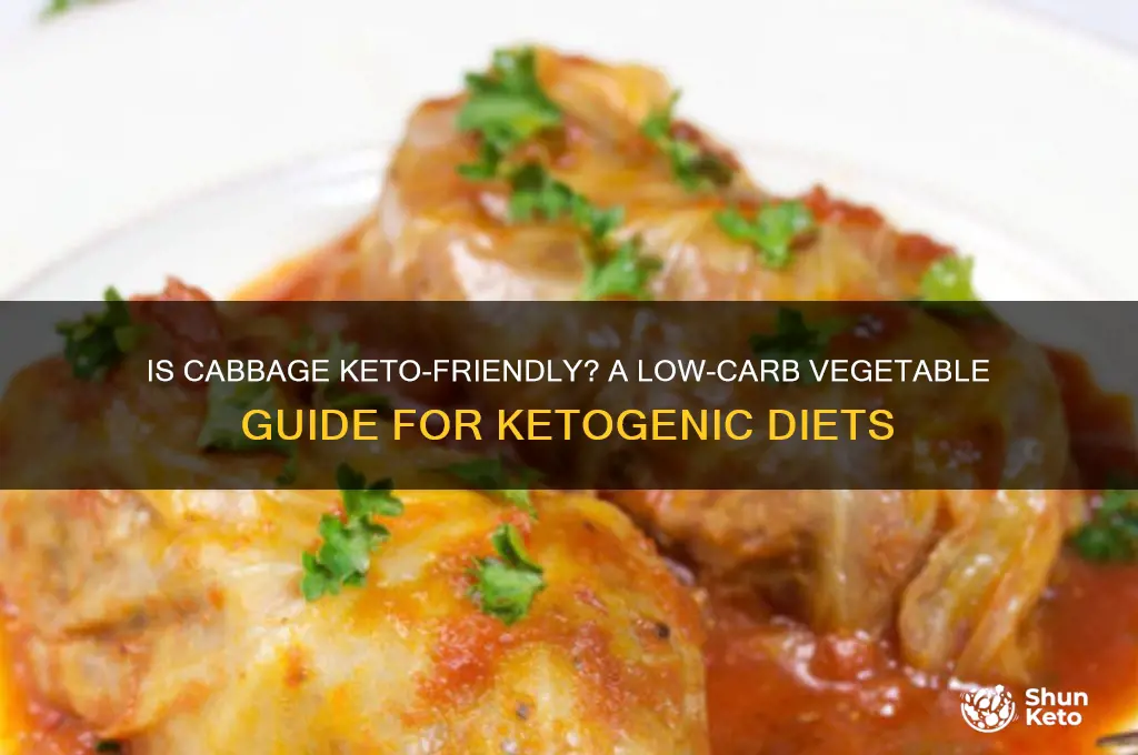 is cabbage a keto vegetable