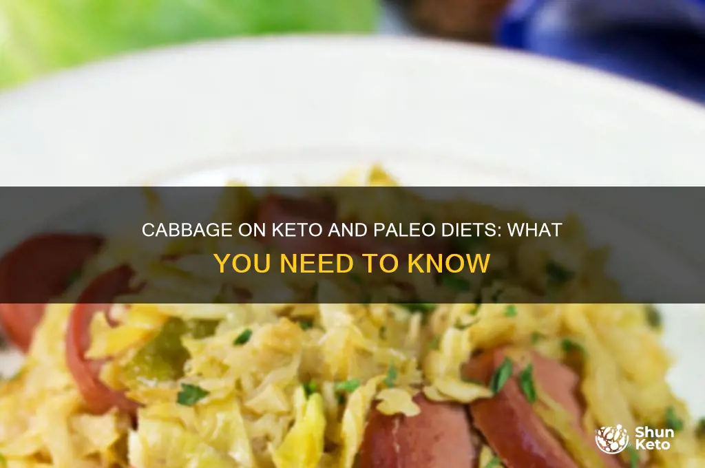 is cabbage keto or paleo
