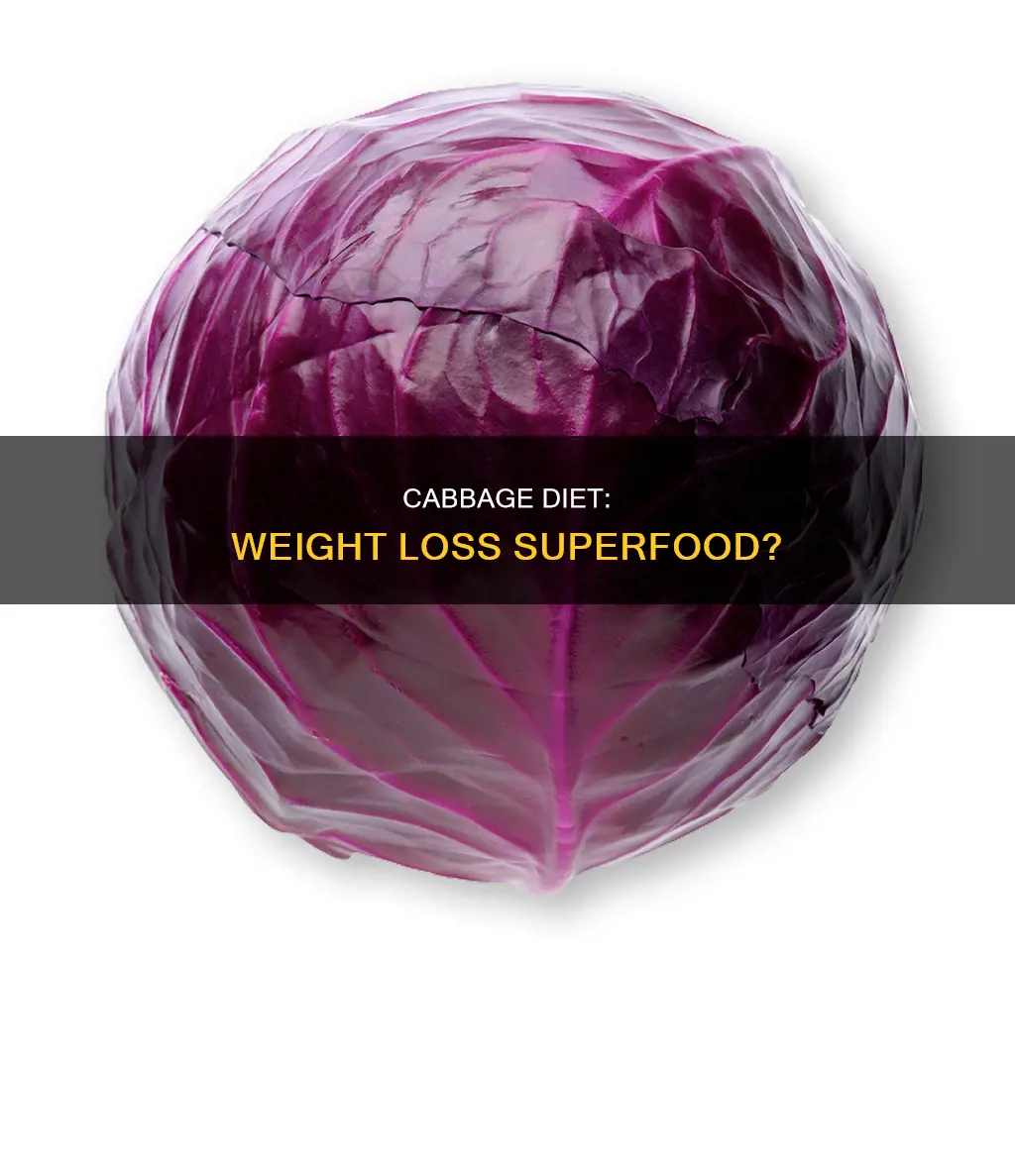 is cabbage ok for diets