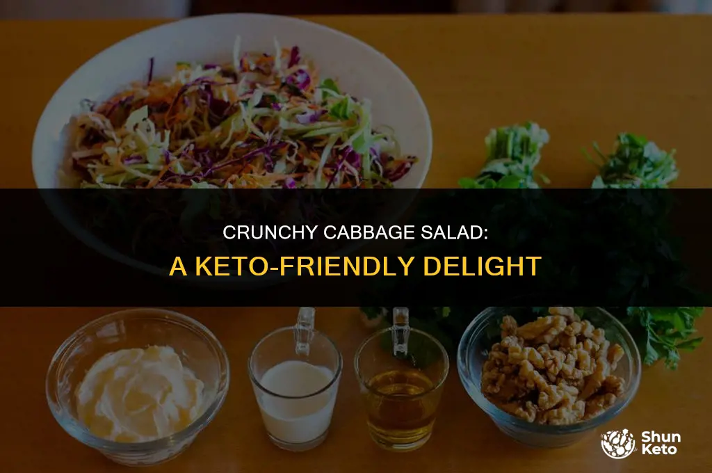 is cabbage salad keto friendly