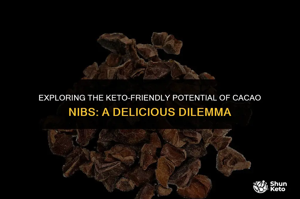 is cacao nibs keto friendly