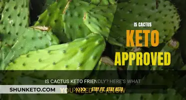 Cactus and Keto: A Match Approved?