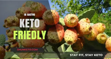Is Cactus Keto-Friendly? Exploring Its Low-Carb Benefits and Uses