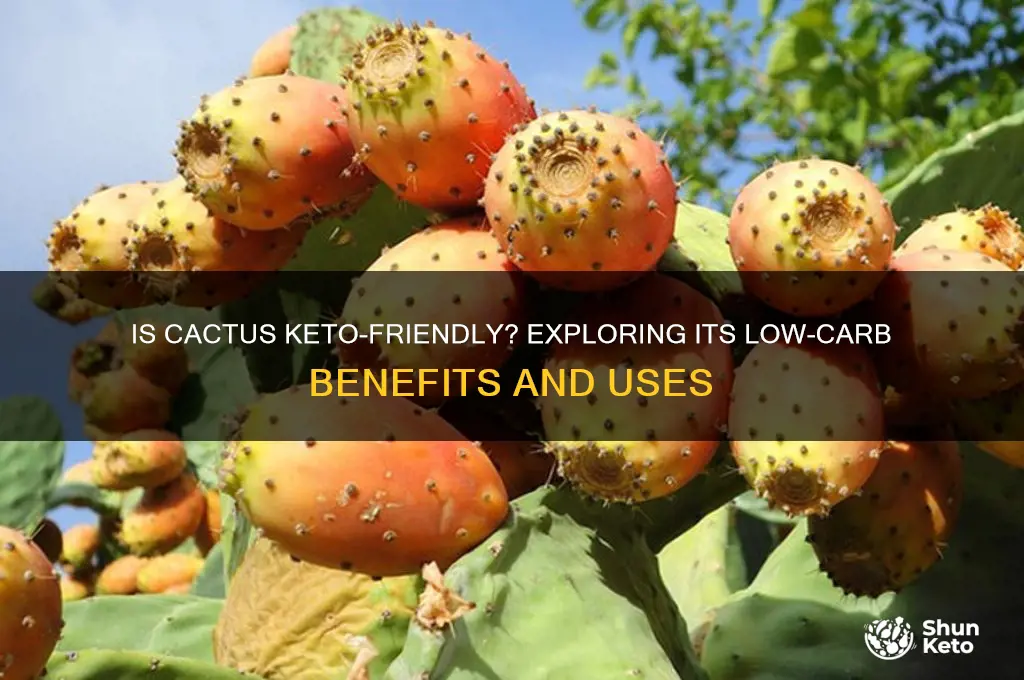 is cactus keto friedly