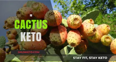 Is Cactus Keto-Friendly? Exploring Low-Carb Benefits and Uses