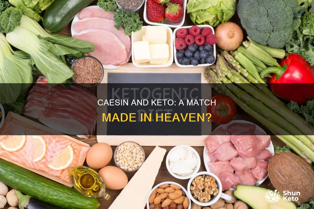 is caesin keto approved