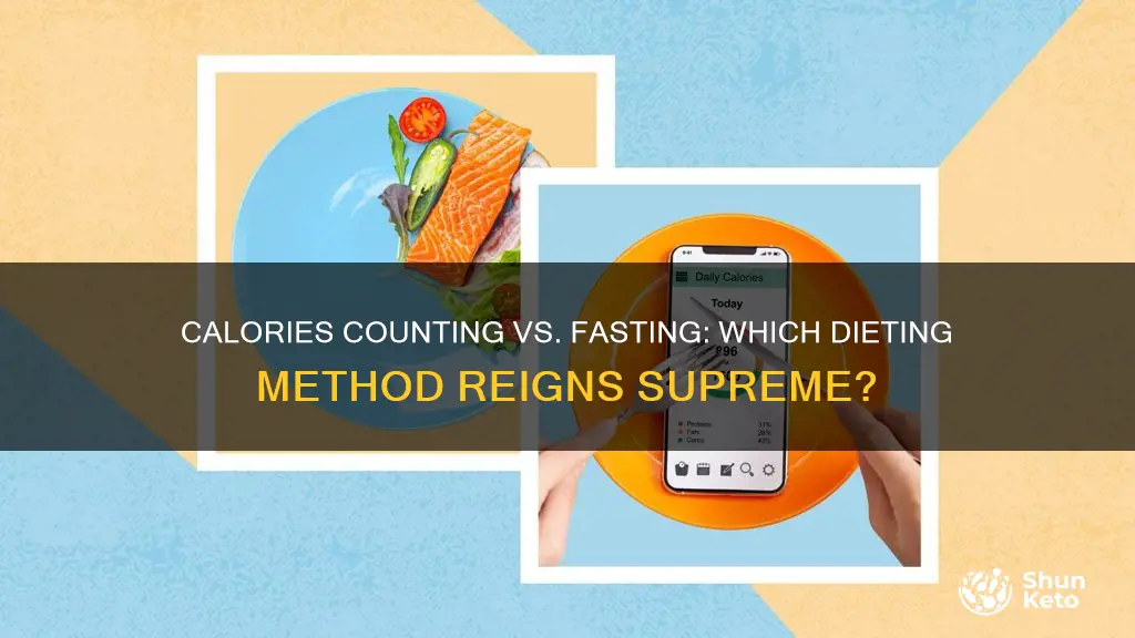 is calories counting or fasting better for dieting