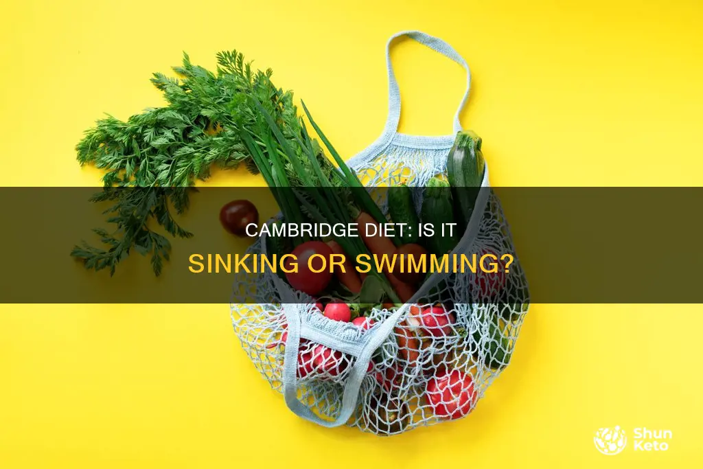 is cambridge diet going out of business