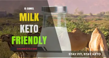 Exploring the Keto Benefits of Camel Milk: A Nutritional Breakdown