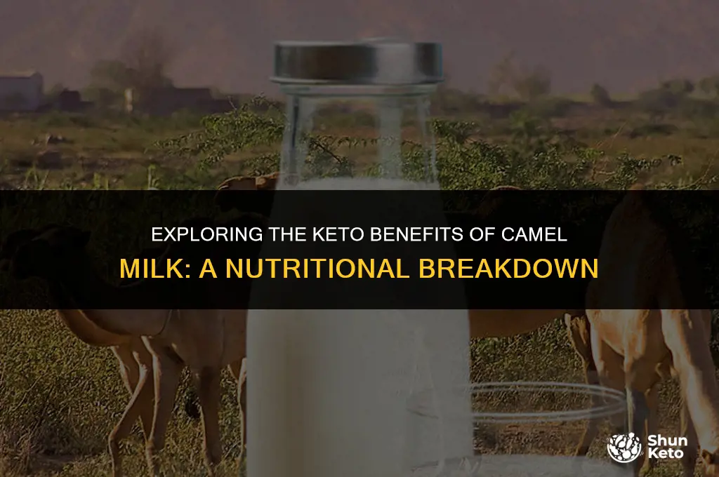 is camel milk keto friendly