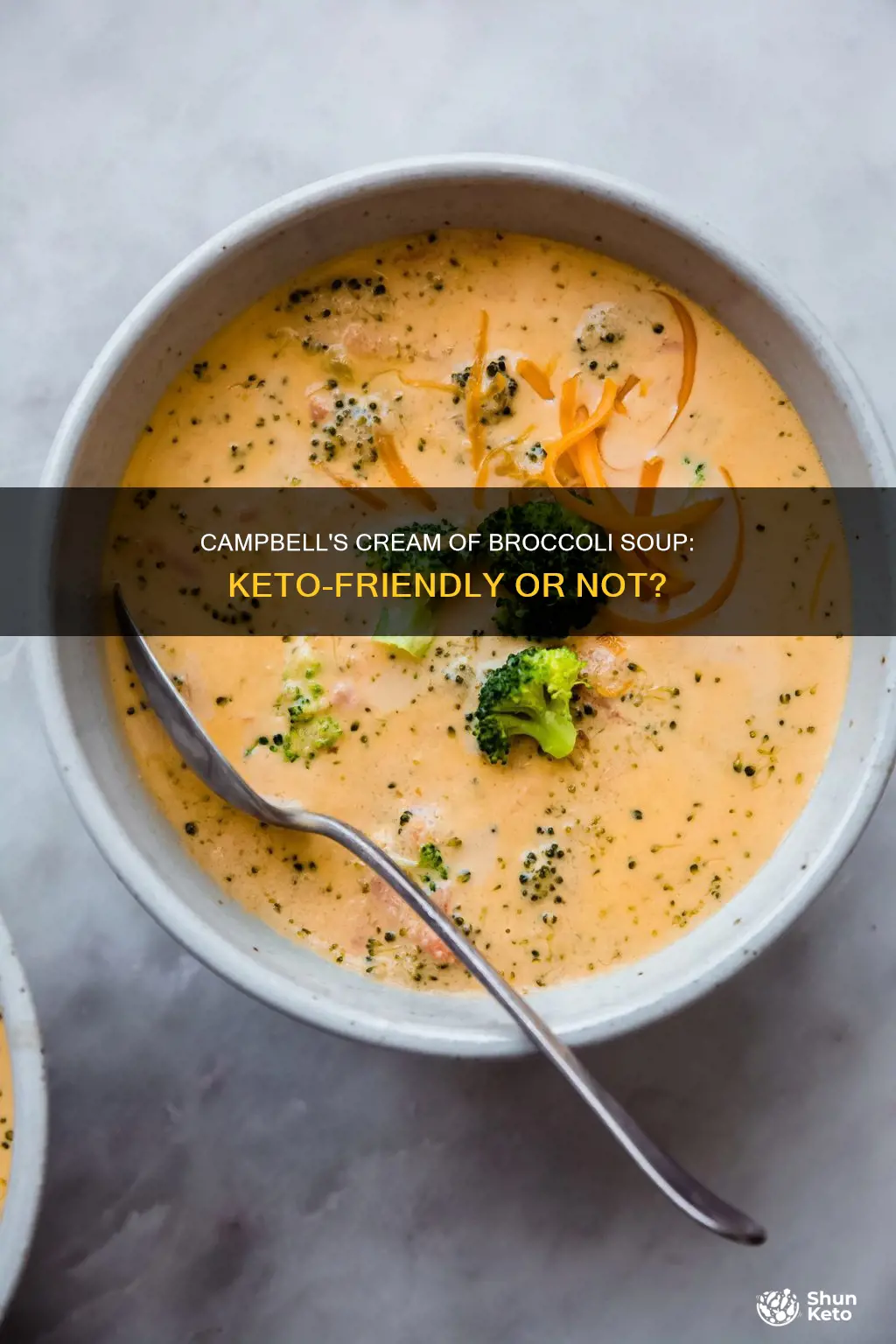 is campbell cream of broccoli soup keto