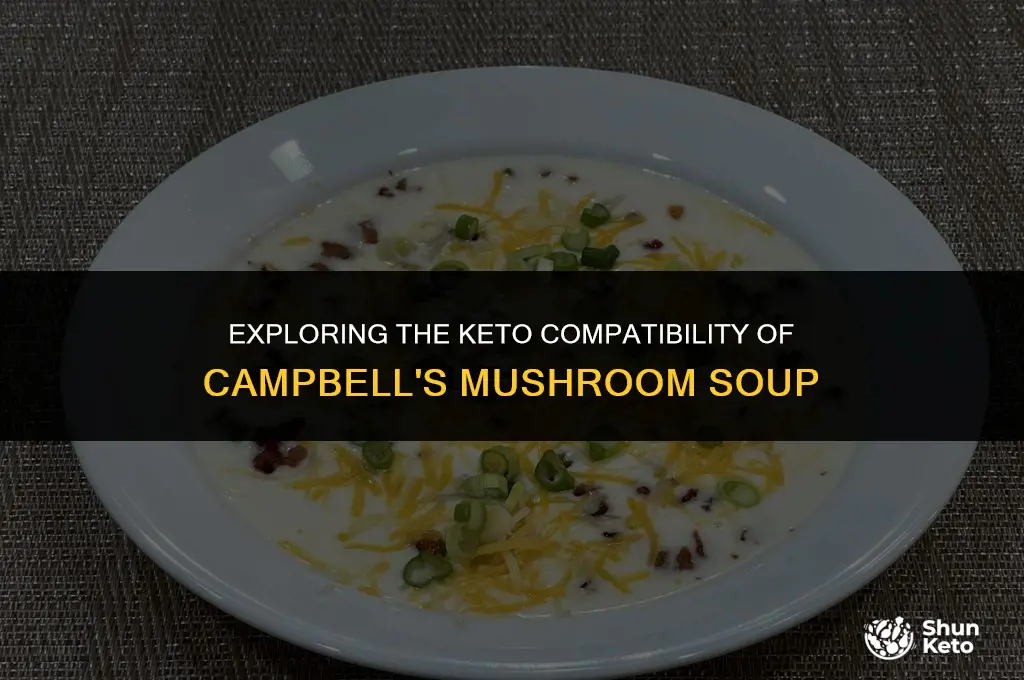 is campbell mushroom soup keto friendly