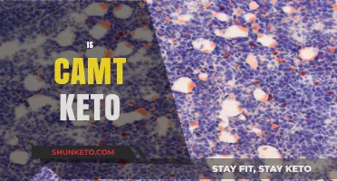 Is Camt Keto-Friendly? Unveiling the Truth About Camt and Ketosis