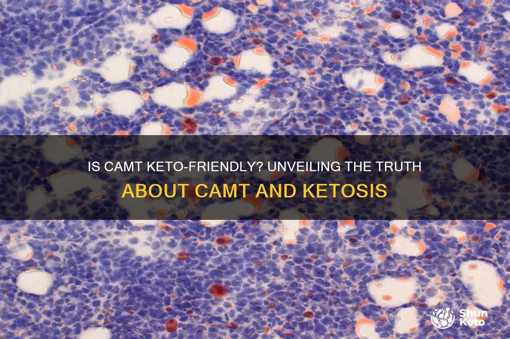 is camt keto