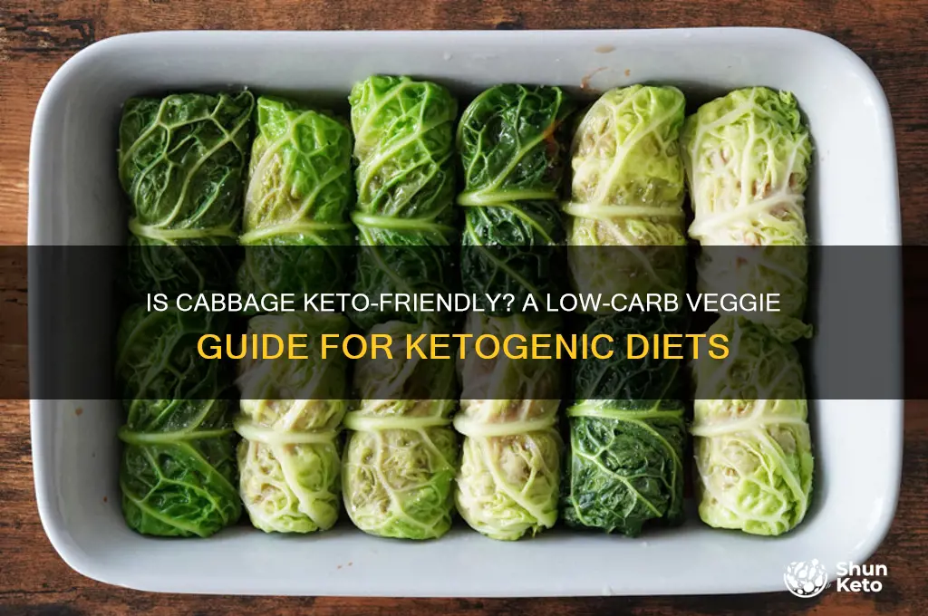 is canbage keto