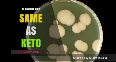 Candida vs. Keto: Unraveling the Differences in Diet Approaches