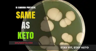 Candida vs. Keto: Are These Diets the Same or Different?