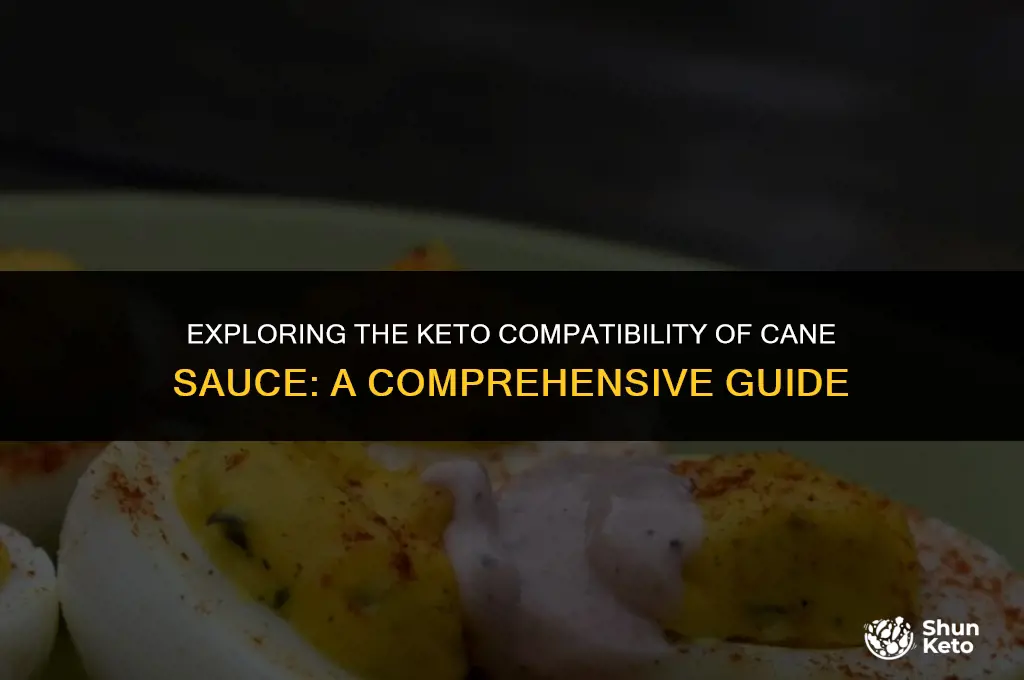 is cane sauce keto friendly