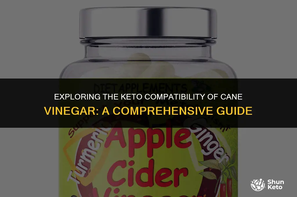is cane vinegar keto friendly