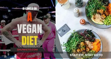 Canelo's Vegan Diet: Fact or Fiction?