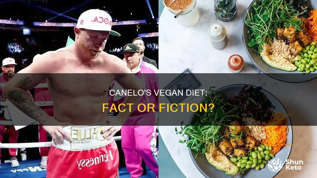 is canelo on a vegan diet